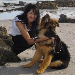 HasieKalbas's profile picture. Rock chick that likes Milo, sunshine, ballet and Rammstein!

All BIG things started with little ideas!