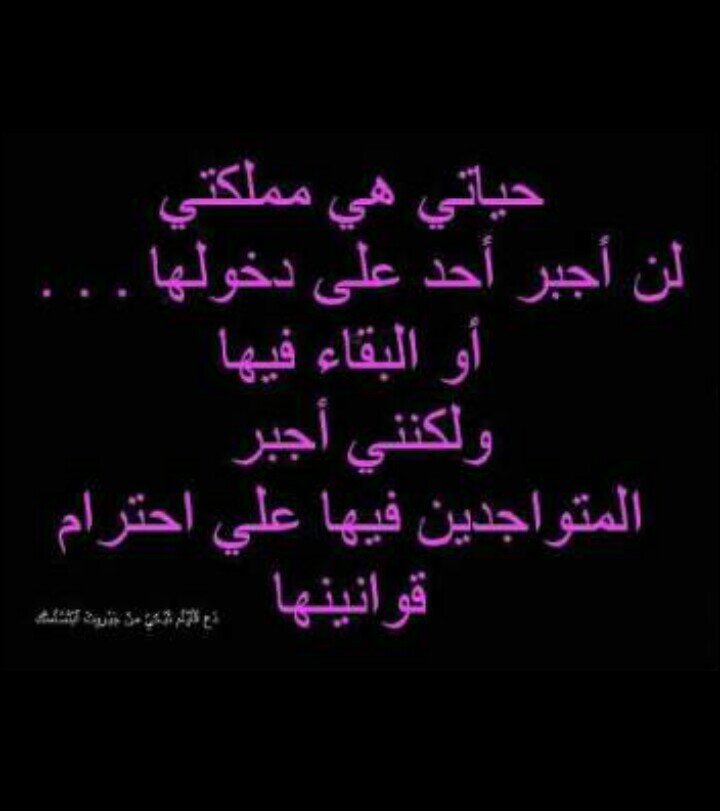 وش ذكرك حب طوته اليالي حب مضى مابين قلبي وبينككك