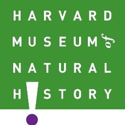 Official feed for the Harvard Museum of Natural History. https://t.co/Rh0r8RFTyM