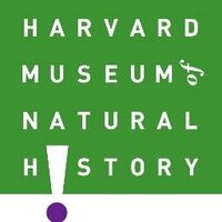 Harvard Museum(@HarvardMuseum) 's Twitter Profile Photo