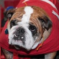 WHS Counseling (@counselingwhs) 's Twitter Profile Photo