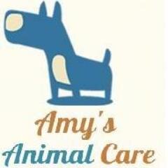 AmysAnimalCare's profile picture. Professional Dog Walking and Pet Sitting Service * 07534149625 * amy.animal.care@gmail.com *