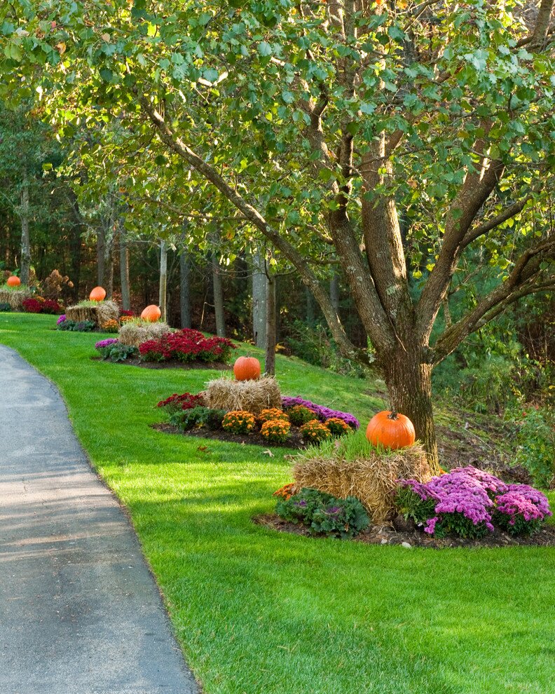 John’s Landscaping has been beautifying San Antonio and the surrounding area since 1995. We are a full-service landscaping and hardscaping company