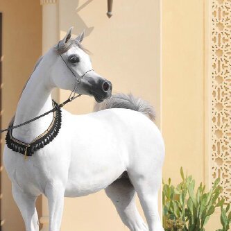 ‏‏‏‏‏سبحان الله وبحمده سبحان الله العضيم