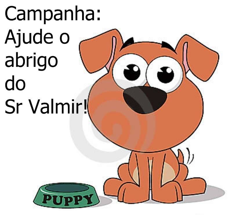 ONG que luta pelos direitos de 130 cães que foram deixados nas ruas e já sofreram maus tratos.