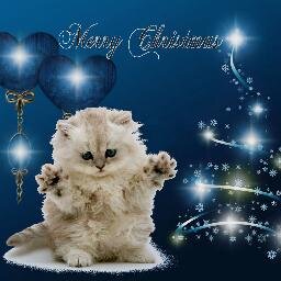 I hope you all have a Merry Christmas! :) 3