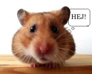 PremoWas's profile picture. jestem :)