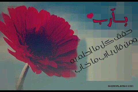 **‏((لا اله الا الله محمد رسول الله))**