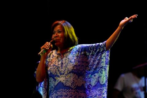 elegiro's profile picture. Cantante / instagram: elegiro1