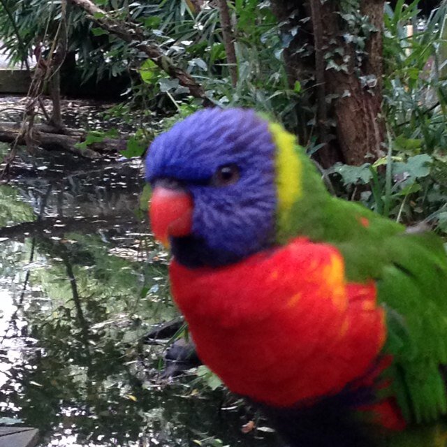 chelle19031978's profile picture. All views here are my own