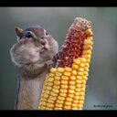 kristy martin - @bstillbeloved - Twitter