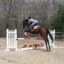 ashley ribeiro - @equestrianx_ - Twitter