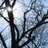 Divine_Sojourn's profile image