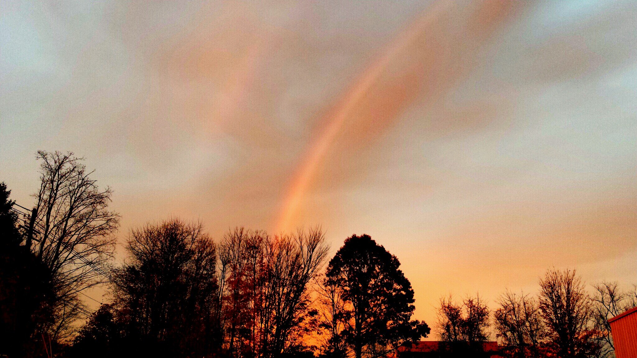 amyfiorello's profile picture. 