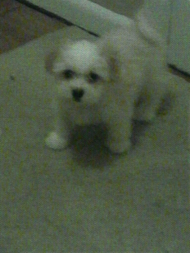 16caguilar's profile picture. 