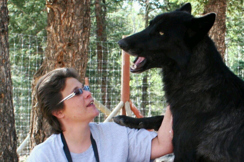 Focus on Database & Web design/development. Lover of animals & good music (preferably Rock...Classic, Alt, etc.)