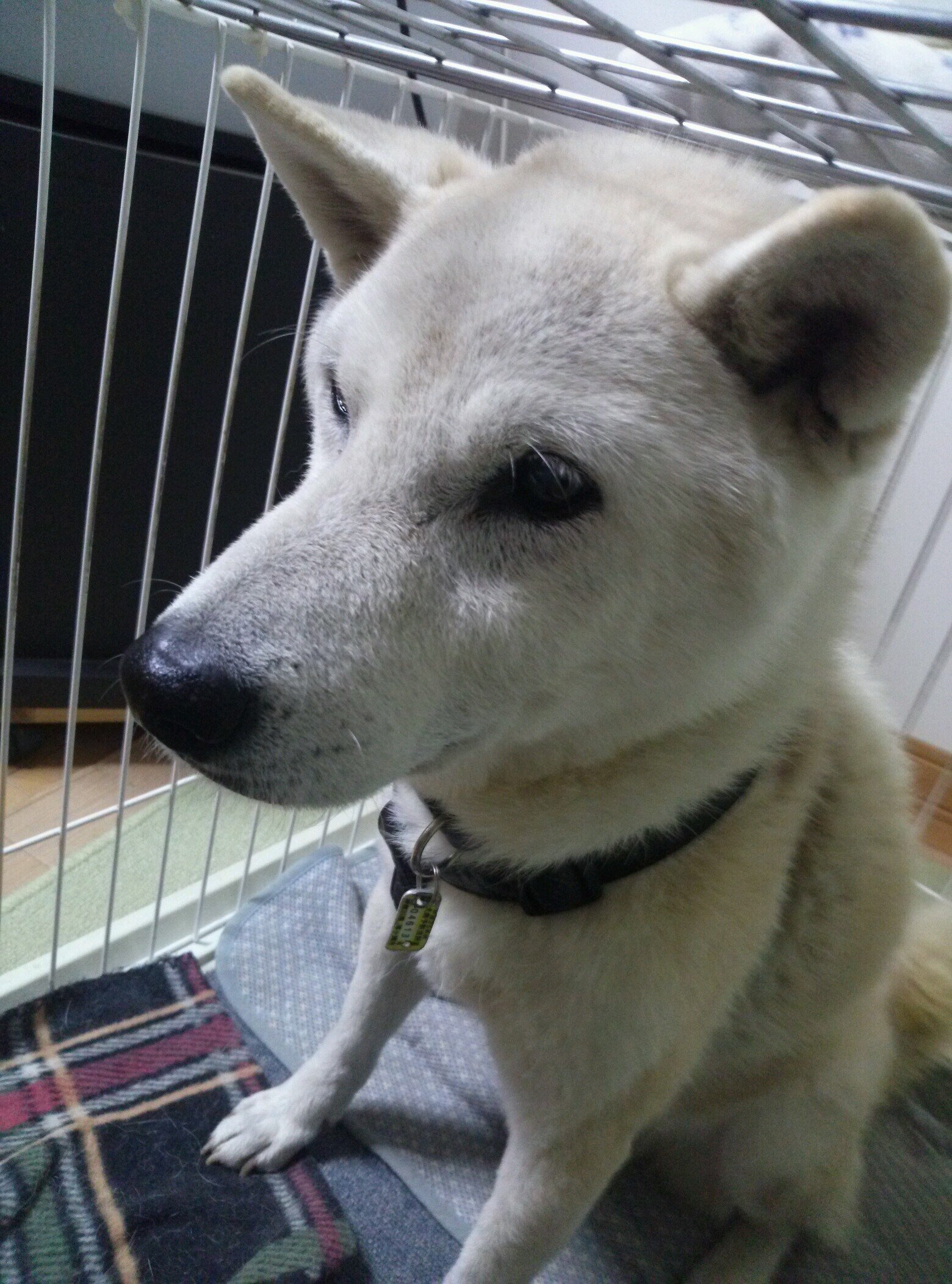 葉月２さんのプロフィール画像
