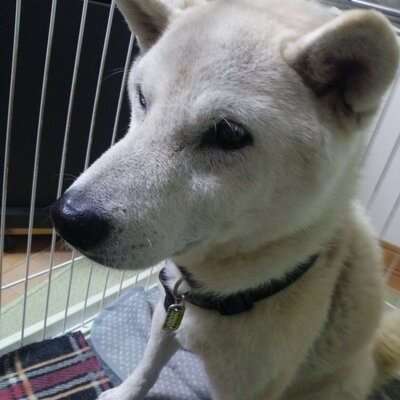 葉月2 On Twitter 嵐の活動休止のニュースにtlが阿鼻叫喚となってい 葉月2 On Twitter 嵐の活動休止のニュースにtlが阿鼻叫喚となってい