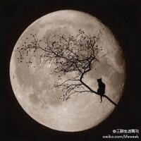 Marvin Lee (@doudouma1) 's Twitter Profile