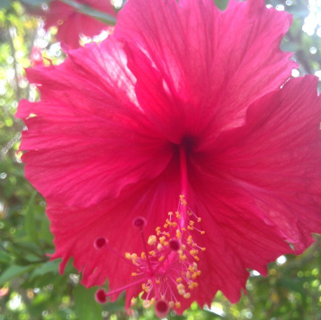 sakko0906's profile picture. IT系女子