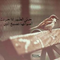 الصداقة كالماءسهل ان تضيعه وصعب ان تحتفظ به