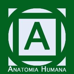 Anatomia Humana donde encontrarás información sobre las partes del cuerpo humano, Anatomia radiologica, dental y articulaciones.
