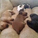 Eileen Hamilton - @eileenjh02 - Twitter