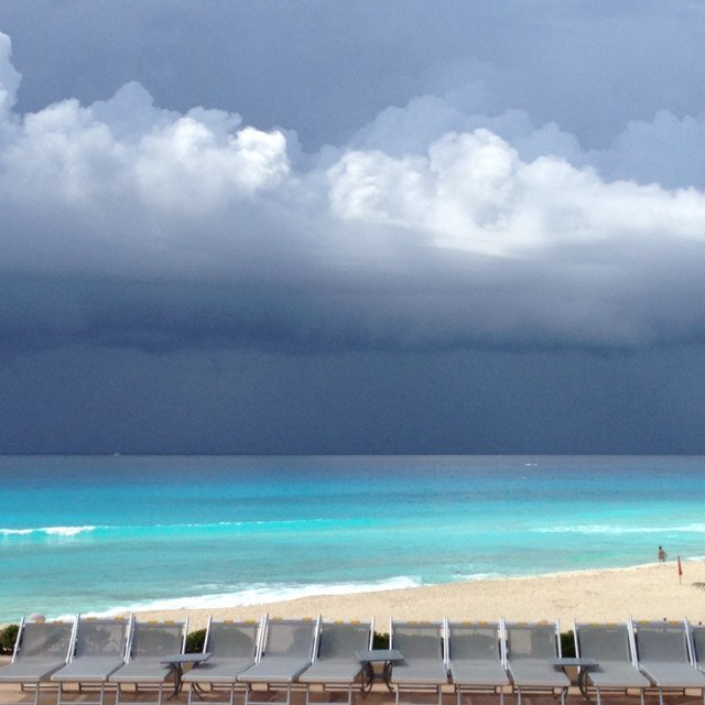 choffma6's profile picture. 