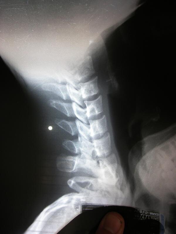 the_3rd_sith's profile picture. 2017 tic tac toe champion runner up. Discoverer of cobwebs and anthills. Not for hire.