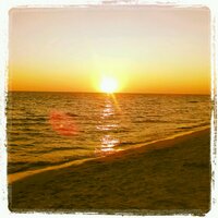 dale gregg (@rdgregg) 's Twitter Profile