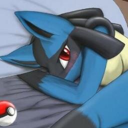 h-hi im a f-female lucario  i-im very s-shy  #Trainer @sexrocketjessie