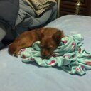 Sandy Benjamin - @bensan57 - Twitter