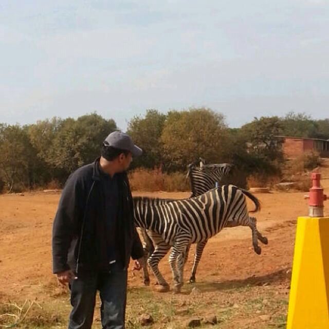 mandola23's profile picture. 