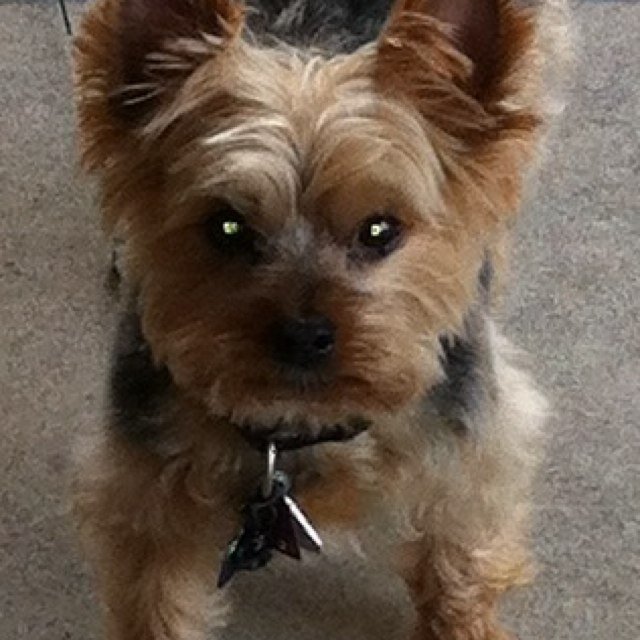 jenpsu1's profile picture. 