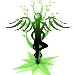 Part of the Union of North American Vietnamese Student Association's Continental Agenda, UNAVSA Health Disparities Committee raises awareness of health issues