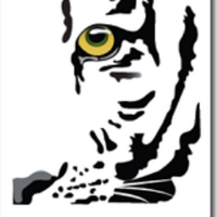 Global Tiger Forum (@unitedfortigers) 's Twitter Profile Photo Global Tiger Forum (@unitedfortigers) 's Twitter Profile Photo