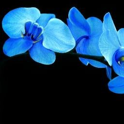 Massage Therapist in Newport News, VA