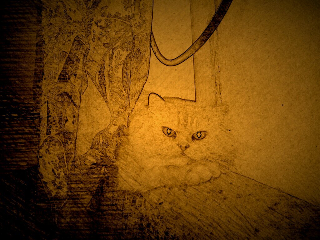 julieacosta404's profile picture. 