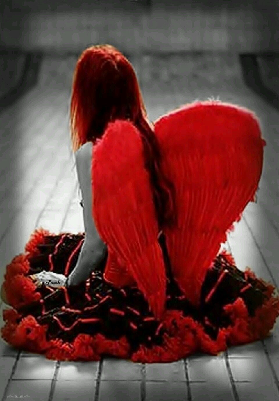 tlv_rocks's profile picture. 