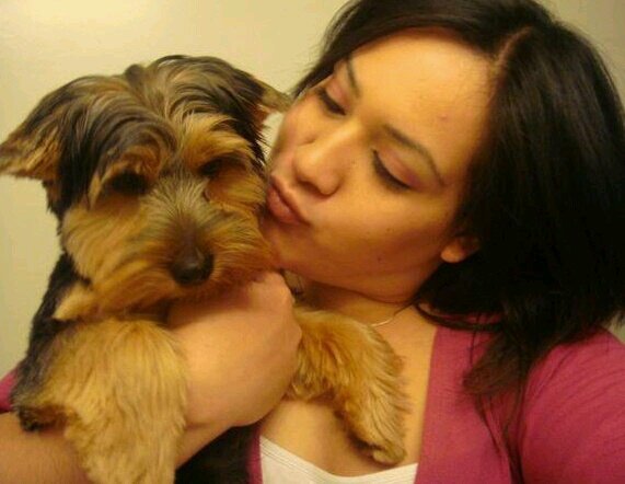 furbaby mama. tv lover. pinterest addict. white inside. missing the mainland. dx pcos and type 2 diabetes