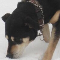 TeeMoma (@maruschkasmom) 's Twitter Profile