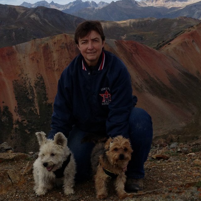 spice1x's profile picture. 