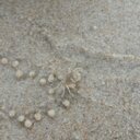 Dan Cai - @caidan7 - Twitter