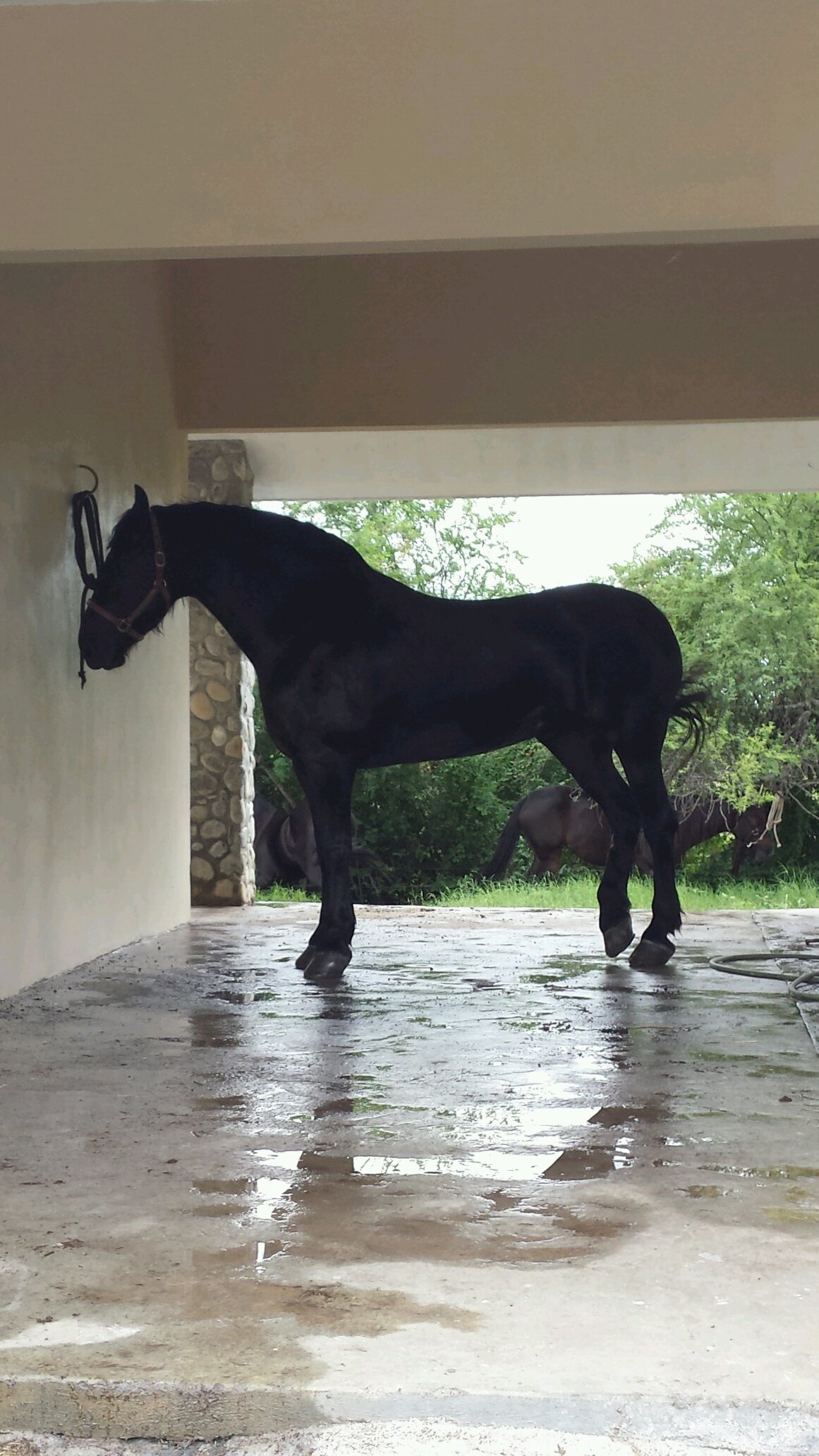 cecymtzcantu's profile picture. POR MAS PESADA QUE SEA LA CARGA CON UNA SONRISA EN TUS LABIOS VA HACER MAS LIGERO TODO....LOS AMO