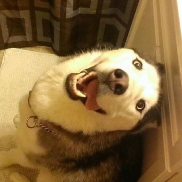 Here whenever you need to talk