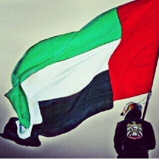 Pin:2AF4D983