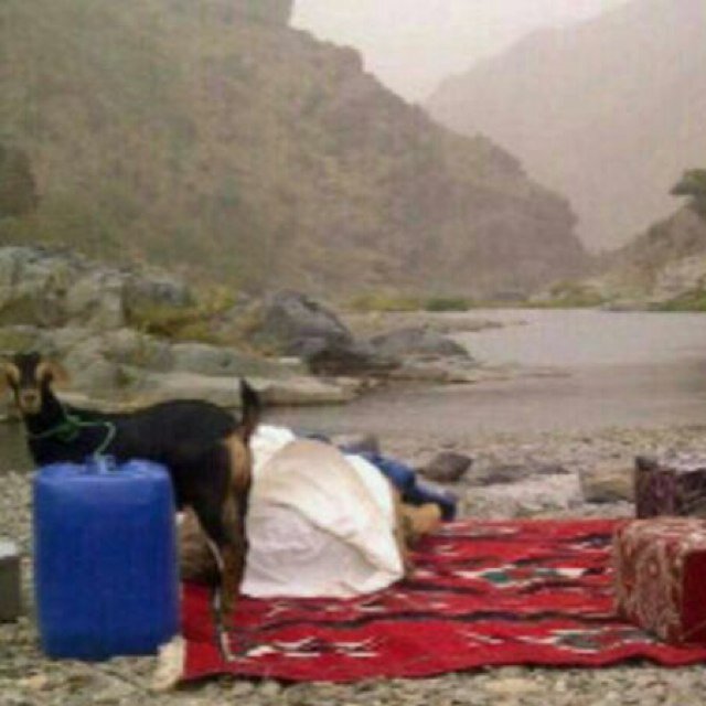 سبحان وبحمده