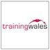trainingwales (@trainingwales) Twitter profile photo