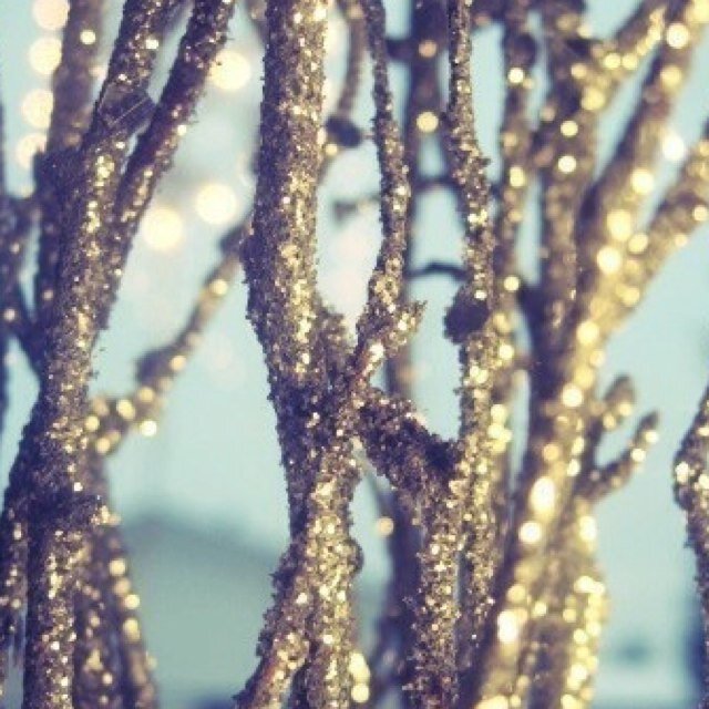 jamiepena's profile picture. 