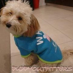 Soooooo many cute puppies, in so many cute clothes!!!